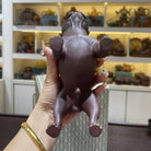 Wang Cai - Tea Pet 江苏宜兴