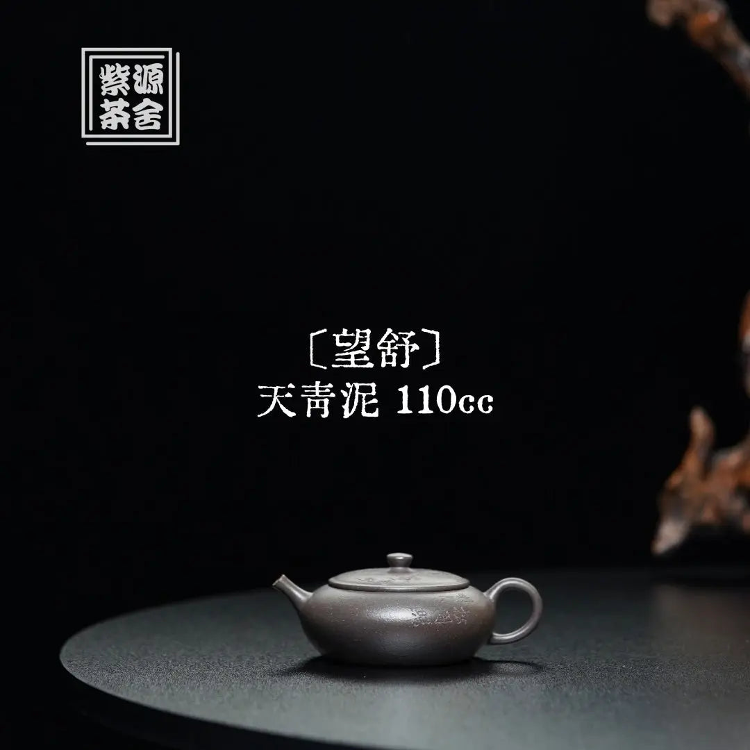 Wang Shu 110cc - Yixing Handmade Teapot 江苏宜兴
