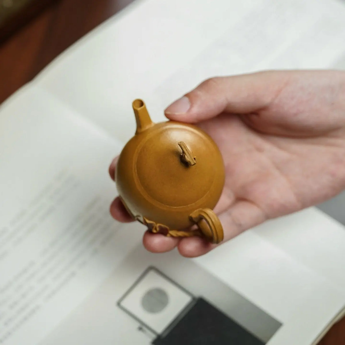 Wen Shi 60cc - Yixing Handmade Teapot 江苏宜兴
