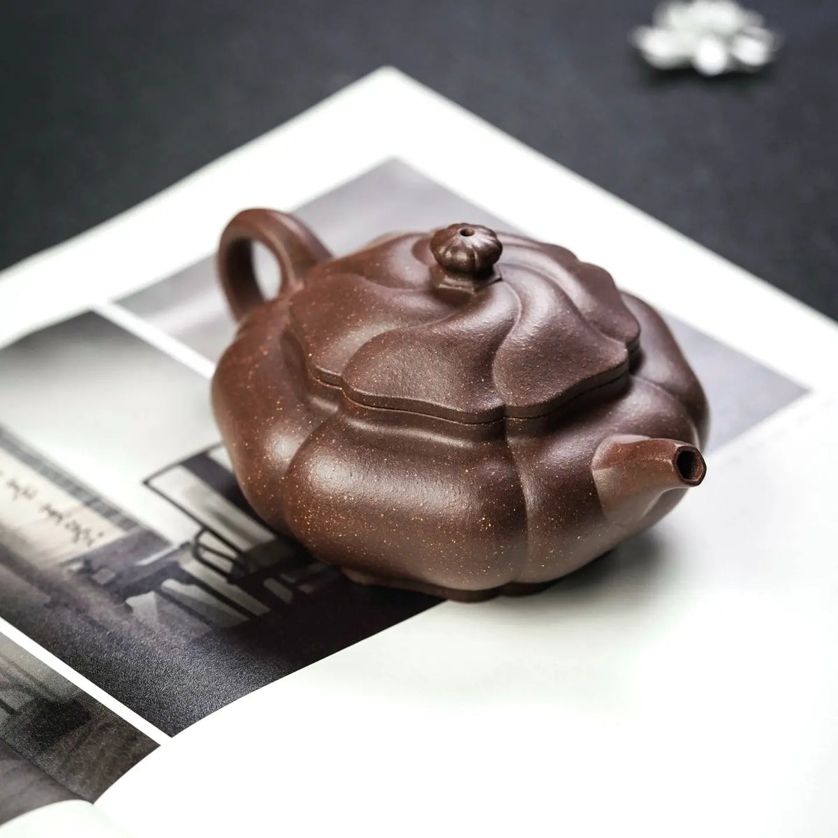 Wo Long Ju Shi 160cc - Yixing Handmade Teapot 江苏宜兴
