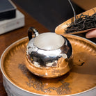 Wu You 200cc - Handmade silver pot zycschina