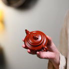 Xi Bian 130cc - Yixing Handmade Teapot 江苏宜兴