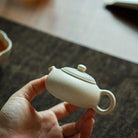 Xi Shi 100cc - Yixing Handmade Teapot 江苏宜兴