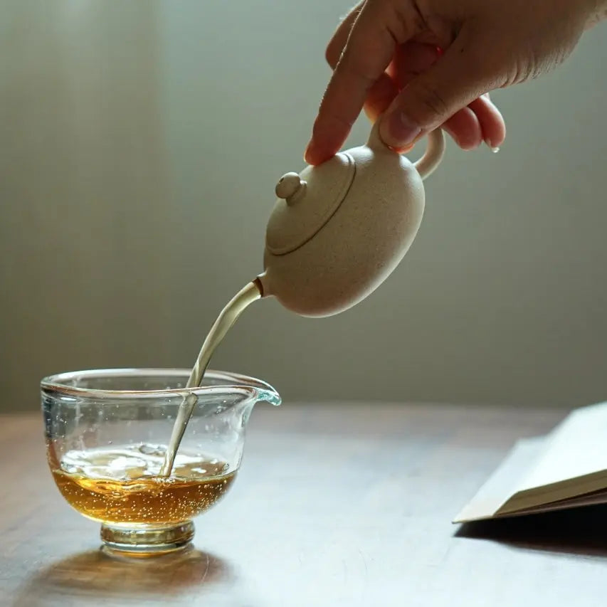Xi Shi 100cc - Yixing Handmade Teapot 江苏宜兴