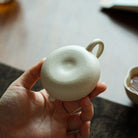 Xi Shi 100cc - Yixing Handmade Teapot 江苏宜兴