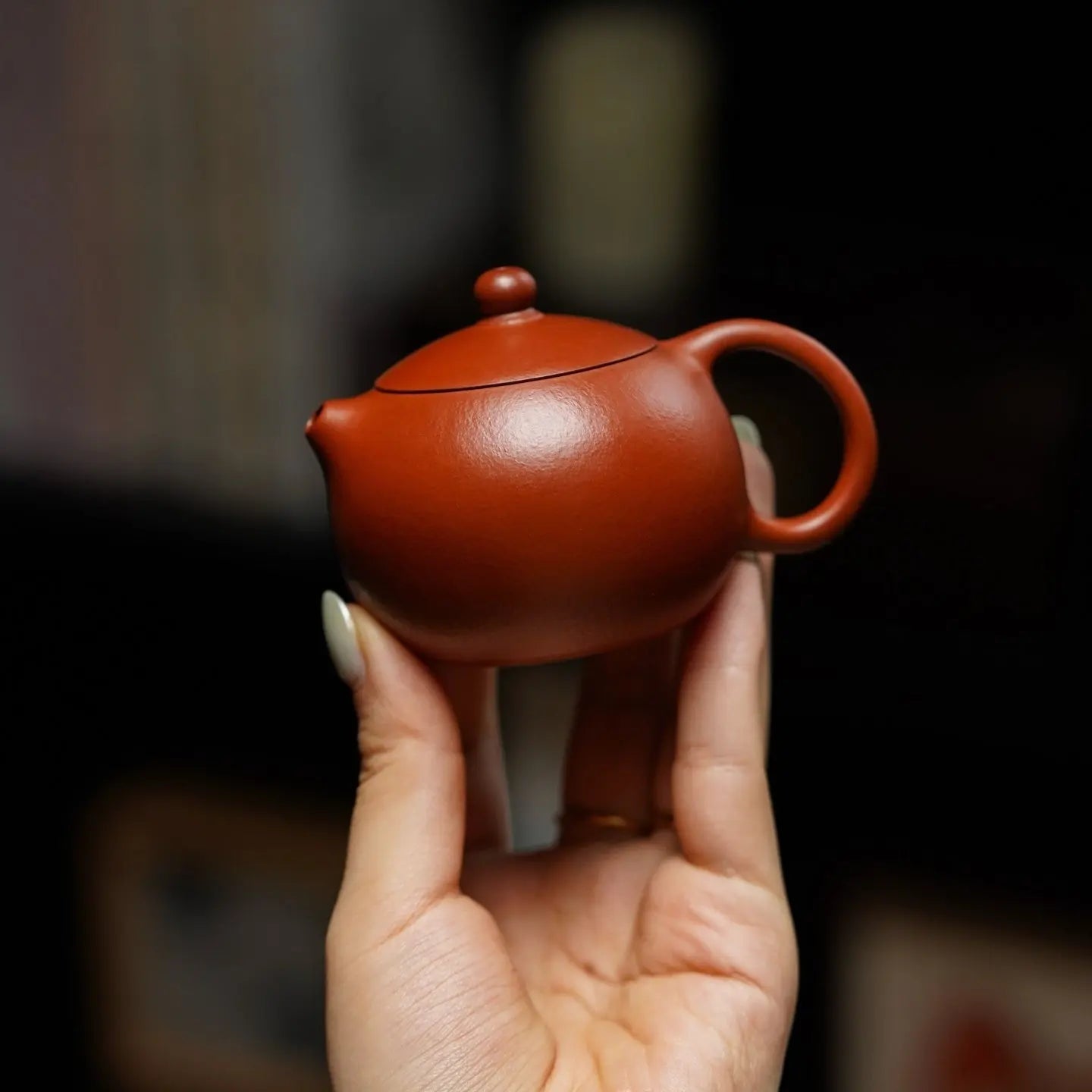 Xi Shi 100cc - Yixing Handmade Teapot 江苏宜兴