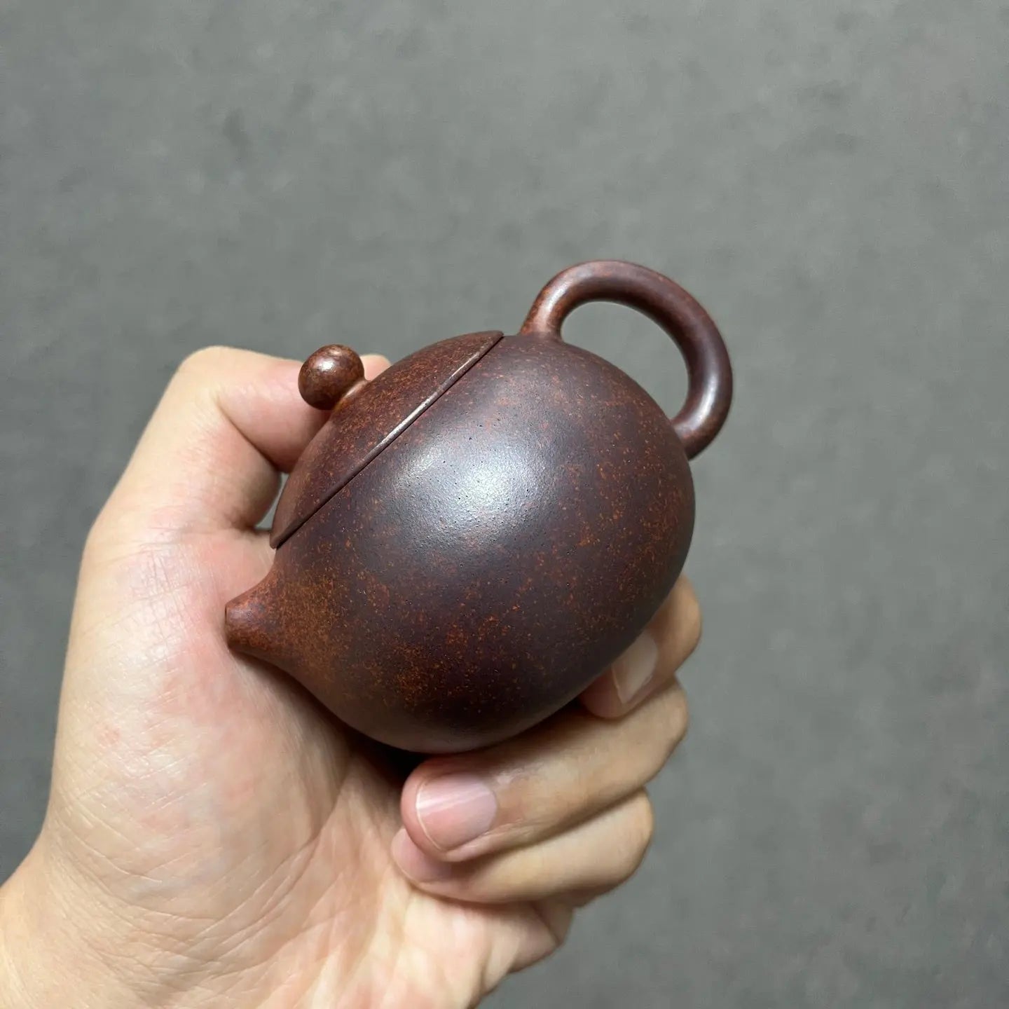 Xi Shi 130cc - Yixing Handmade Teapot 江苏宜兴