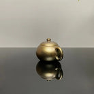 Xi Shi 130cc - Yixing Handmade Teapot 江苏宜兴
