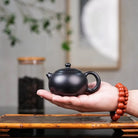 Xi Shi 150cc - Yixing Handmade Teapot 江苏宜兴