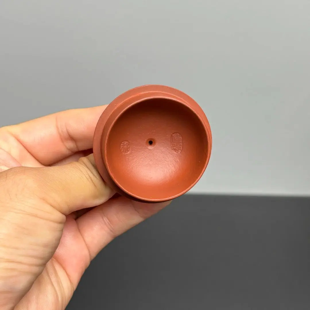 Xi Shi 150cc - Yixing Handmade Teapot 江苏宜兴