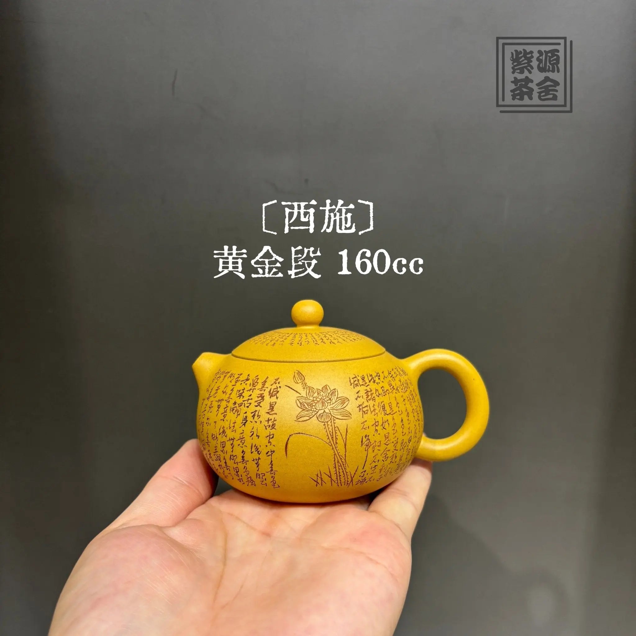 Xi Shi 160cc - Yixing Handmade Teapot 江苏宜兴