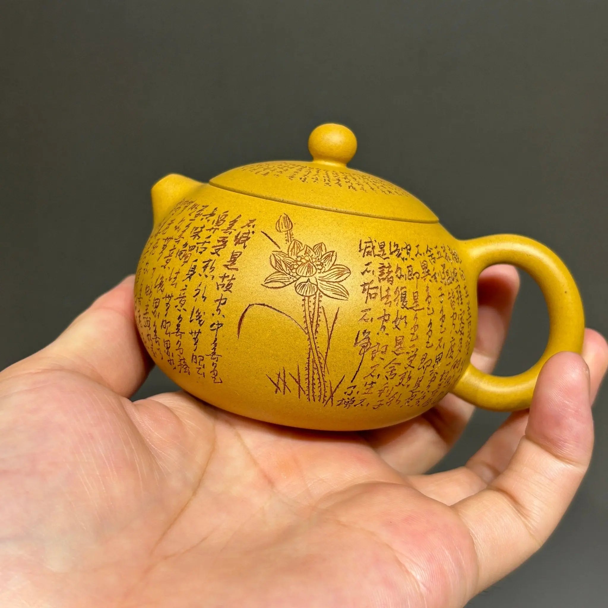 Xi Shi 160cc - Yixing Handmade Teapot 江苏宜兴