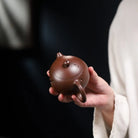Xi Shi 170cc - Yixing Handmade Teapot 江苏宜兴