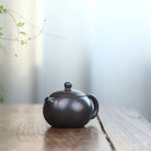 Xi Shi 180cc - Yixing Handmade Teapot 江苏宜兴