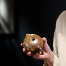 Xi Shi 190cc - Yixing Handmade Teapot 江苏宜兴
