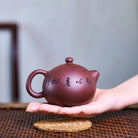 Xi Shi 190cc - Yixing Handmade Teapot 江苏宜兴