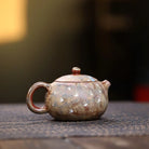 Xi Shi 200cc - Yixing Handmade Teapot 江苏宜兴