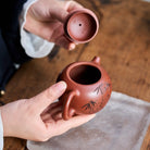 Xi Shi 200cc - Yixing Handmade Teapot 江苏宜兴