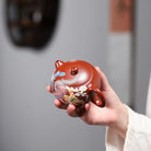 Xi Shi 200cc - Yixing Handmade Teapot 江苏宜兴