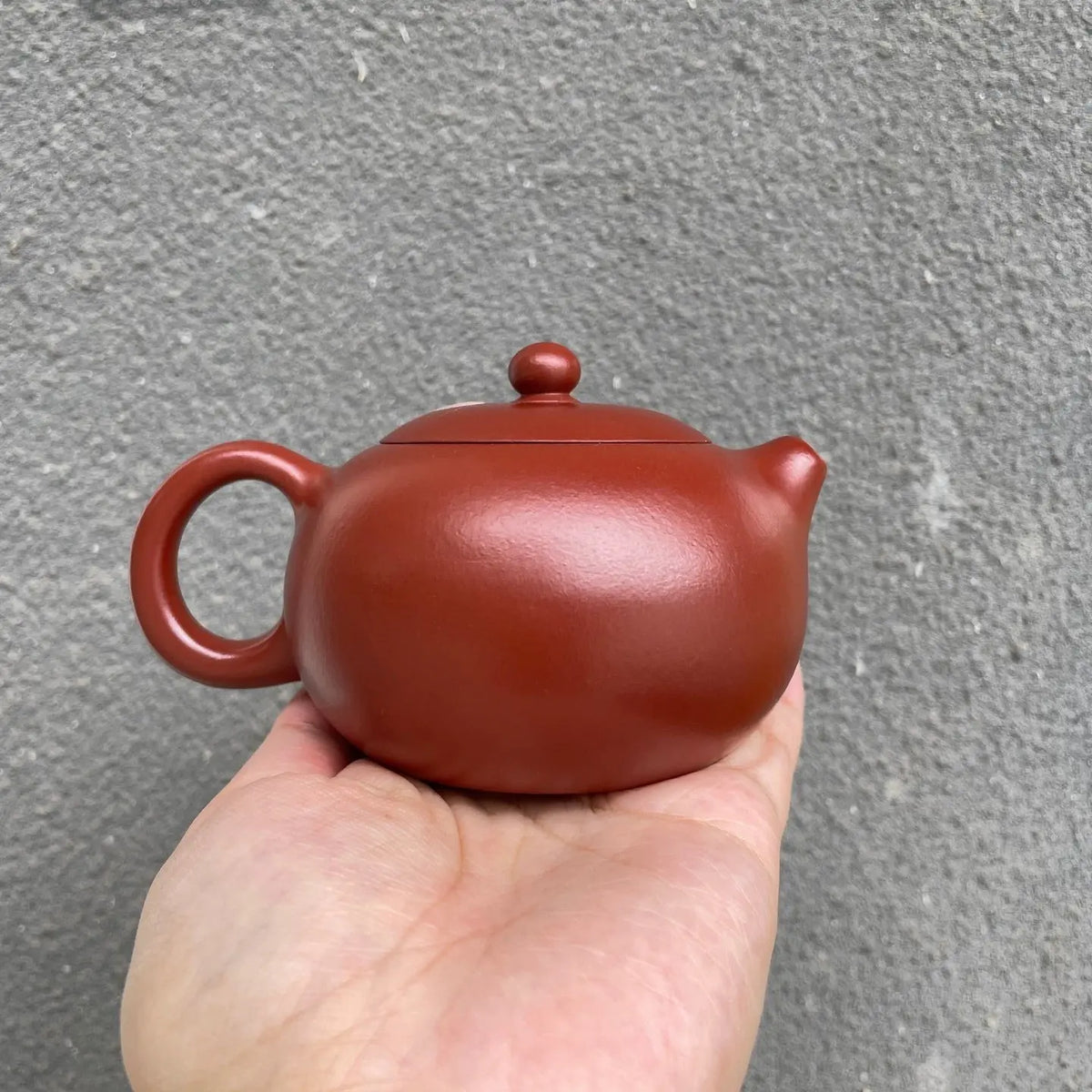 Xi Shi 200cc - Yixing Handmade Teapot 江苏宜兴