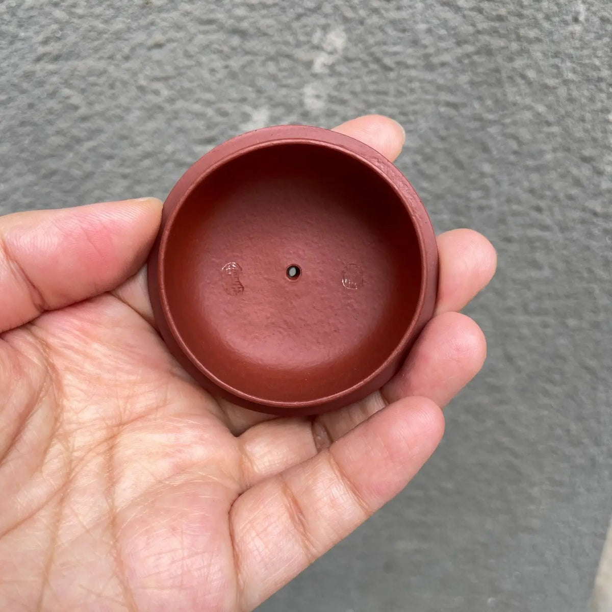 Xi Shi 200cc - Yixing Handmade Teapot 江苏宜兴