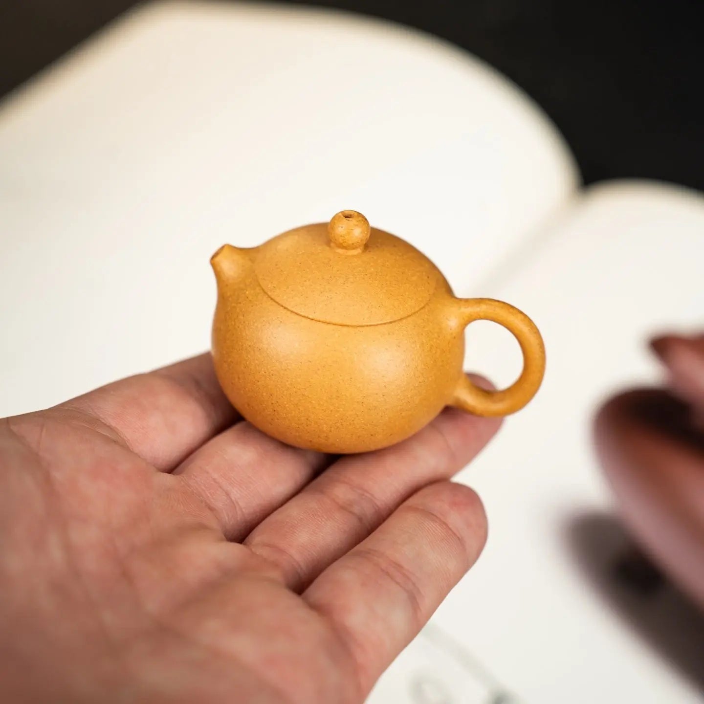 Xi Shi 35cc - Yixing Handmade Teapot 江苏宜兴