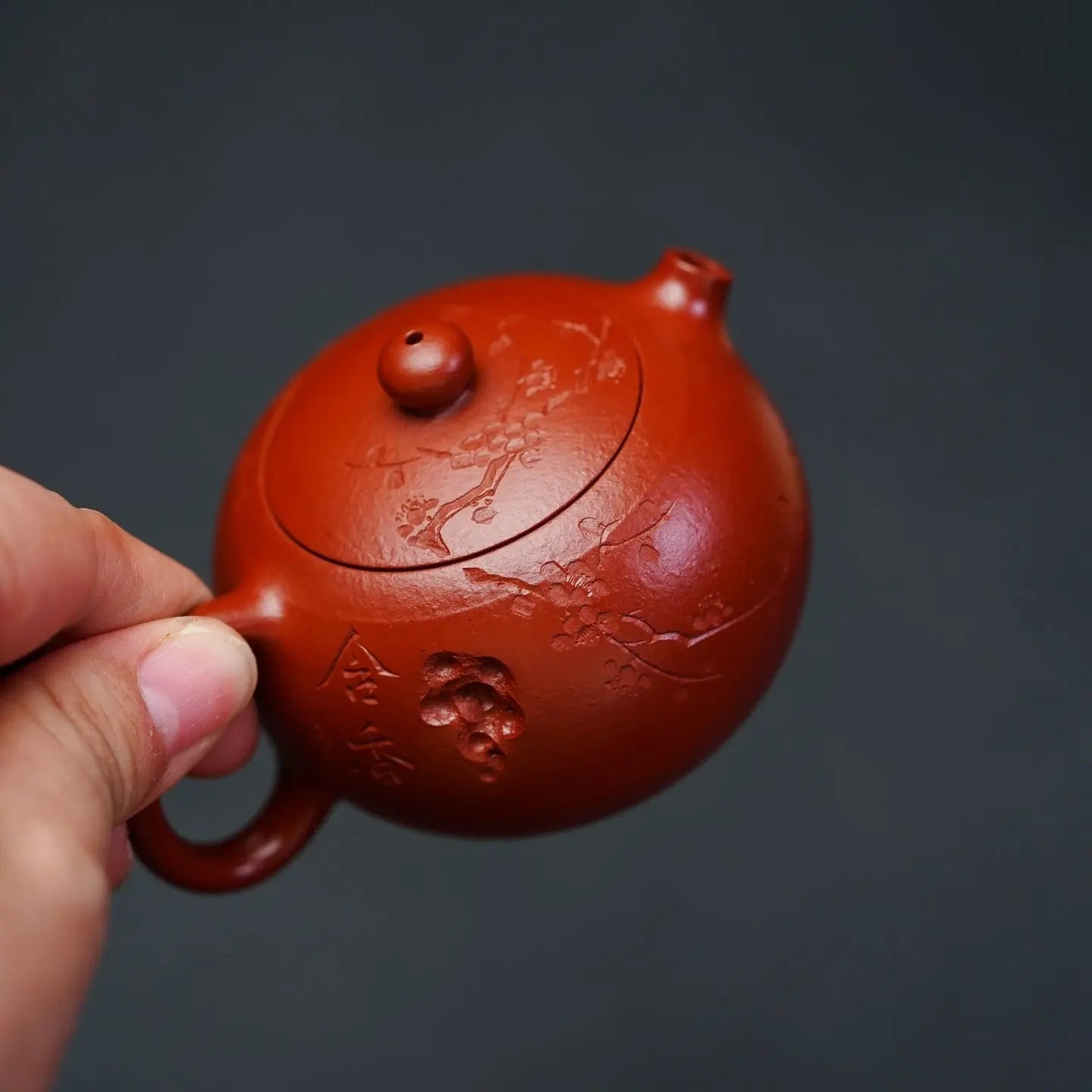 Xi Shi 80cc - Yixing Handmade Teapot 江苏宜兴