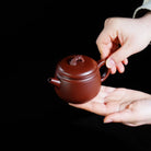 Xiang Long 170cc - Yixing Handmade Teapot 江苏宜兴