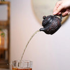 Xiang Long Pan Hu 210cc - Yixing Handmade Teapot 江苏宜兴