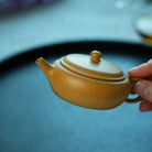 Xiang Yu 100cc - Yixing Handmade Teapot 江苏宜兴