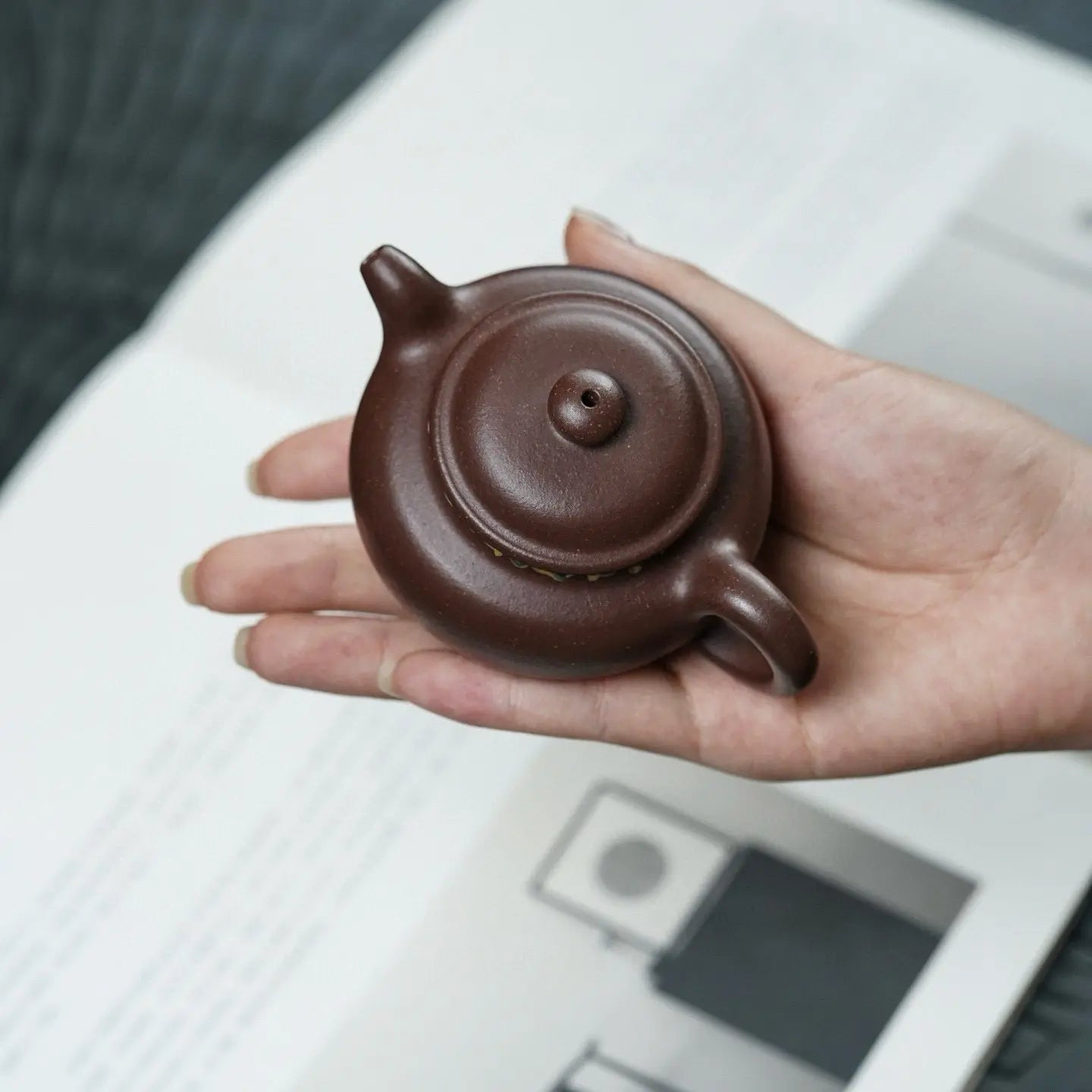 Xiao Duo Zhi 120cc - Yixing Handmade Teapot 江苏宜兴