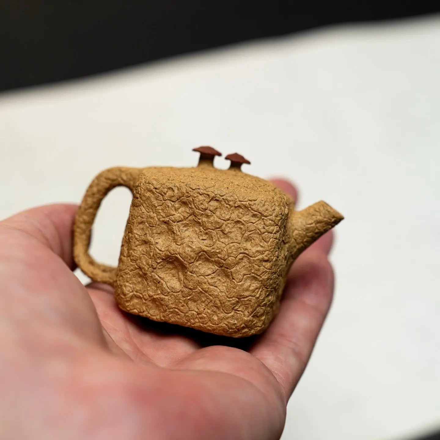 Xiao Jin Zhuan 50cc - Yixing Handmade Teapot 江苏宜兴