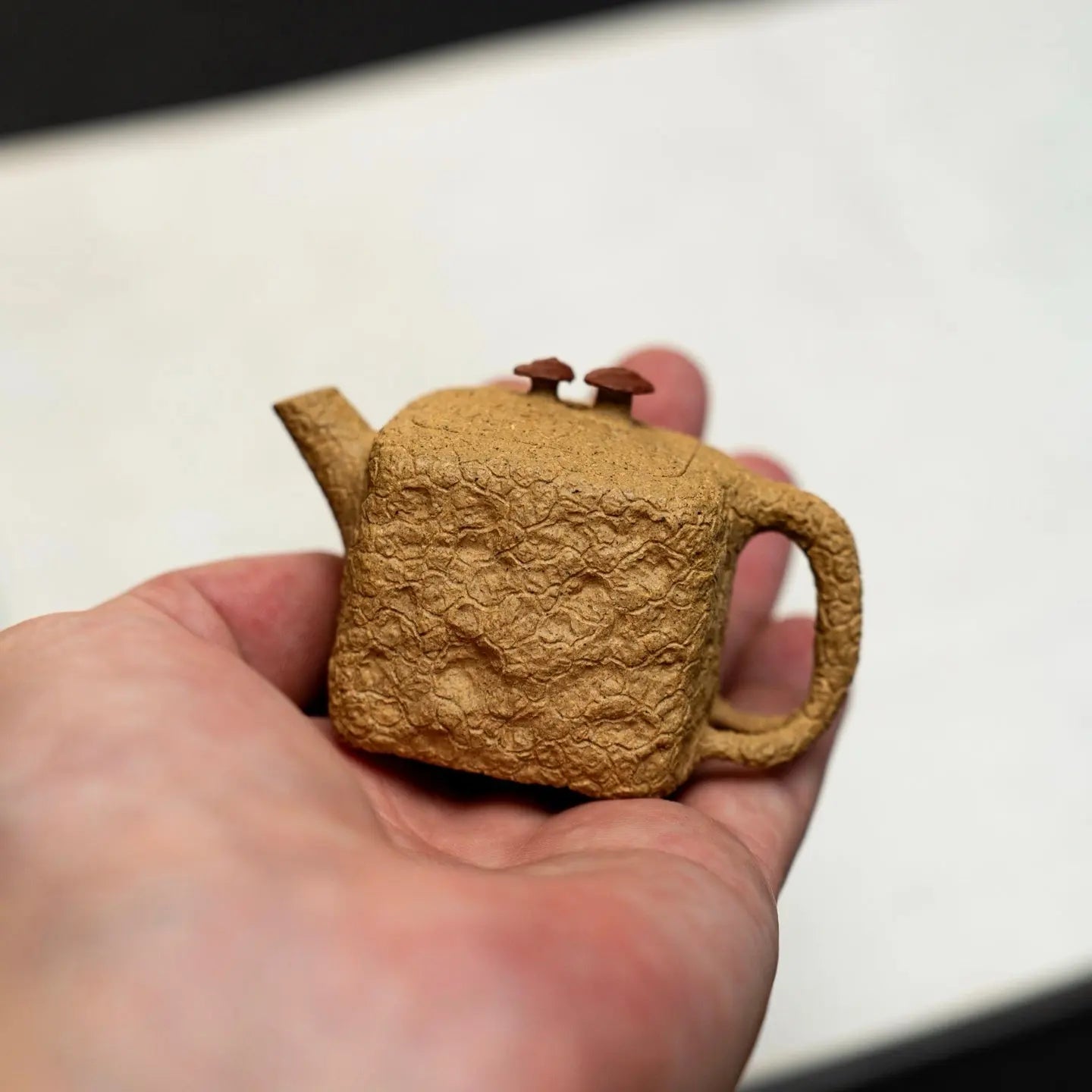 Xiao Jin Zhuan 50cc - Yixing Handmade Teapot 江苏宜兴
