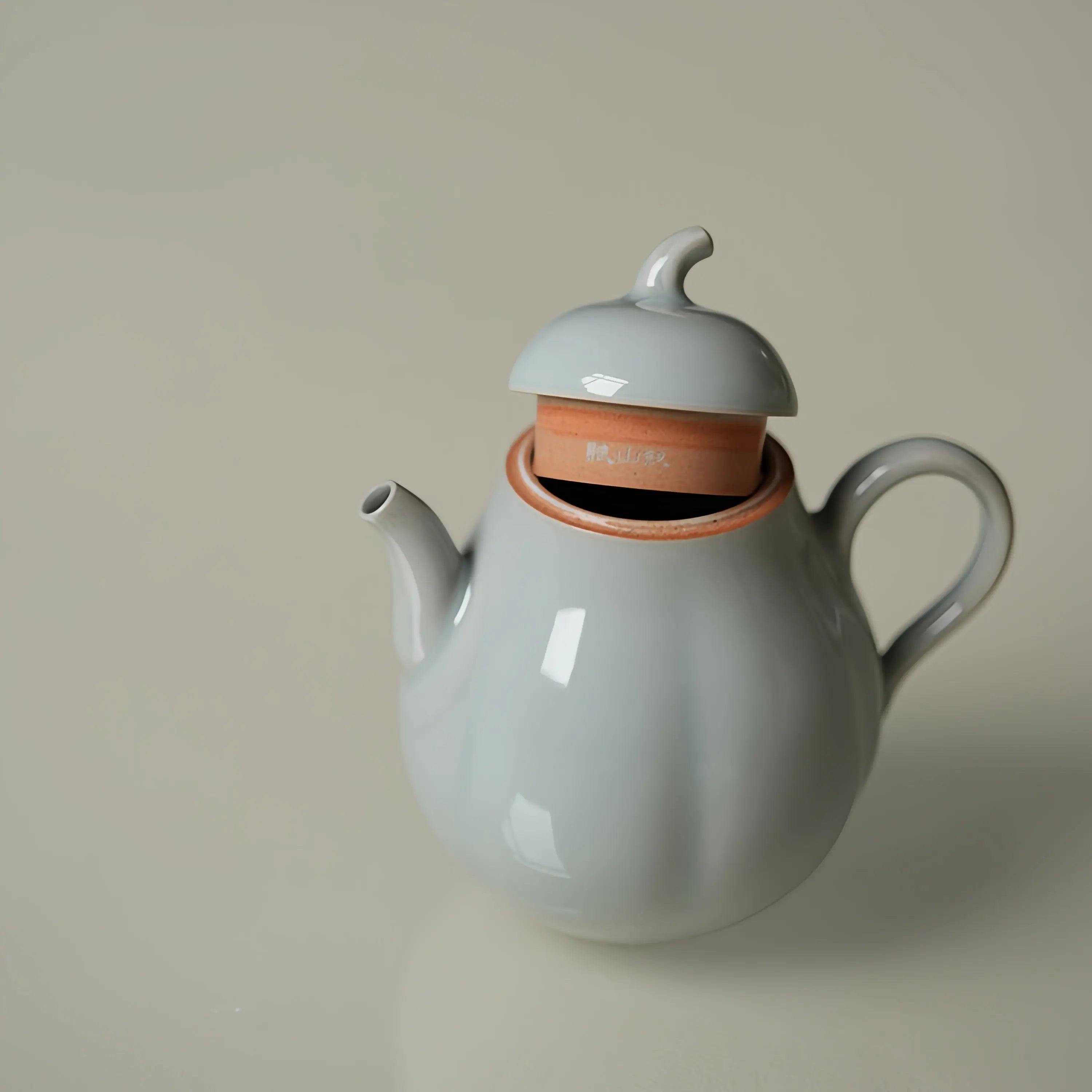 Xiao Li 85cc - Jingdezhen Porcelain Teapot zycschina