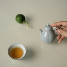 Xiao Li 85cc - Jingdezhen Porcelain Teapot zycschina