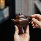 Xiao Lian Zi 118cc - Yixing Handmade Teapot 江苏宜兴