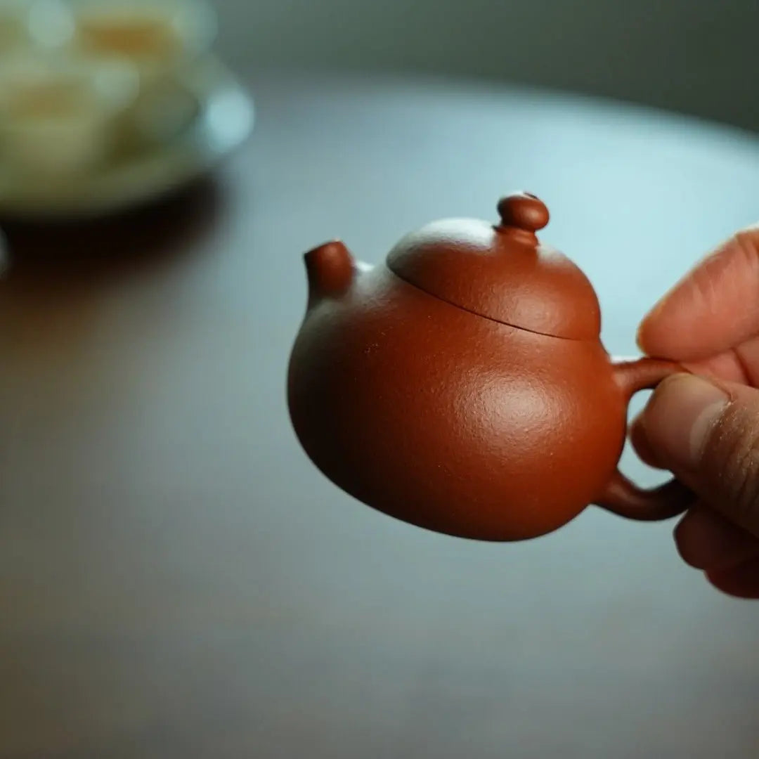 Xiao Wen Dan 50cc - Yixing Handmade Teapot 江苏宜兴