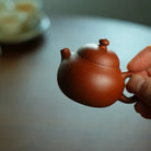 Xiao Wen Dan 50cc - Yixing Handmade Teapot 江苏宜兴