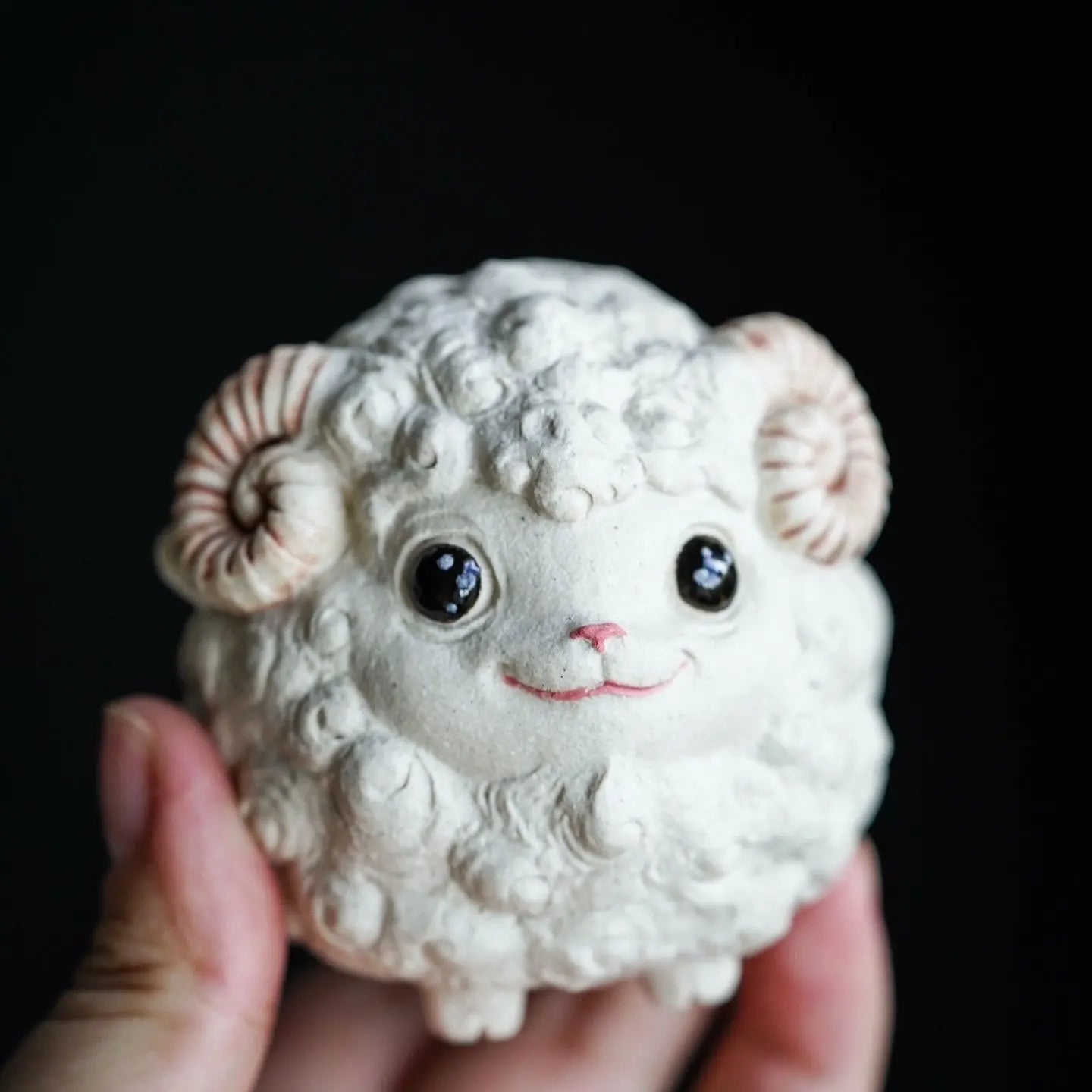 Xiao Yang - Yixing Zisha Handmade Teapet 江苏宜兴