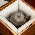 Xiu Yu Nan Gua 150cc - Yixing Handmade Teapot 江苏宜兴