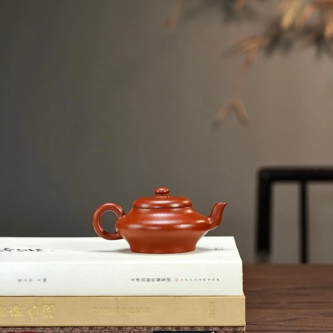 Xu Bian 110cc - Yixing Handmade Teapot zycschina