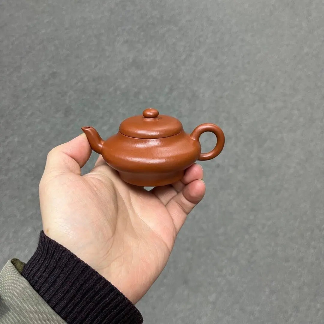 Xu Bian 110cc - Yixing Handmade Teapot zycschina
