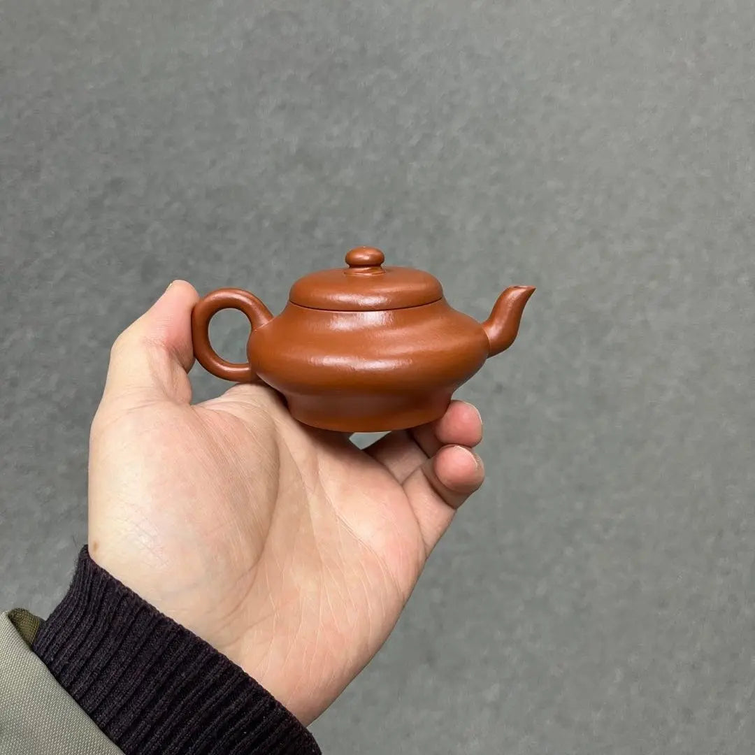 Xu Bian 110cc - Yixing Handmade Teapot zycschina