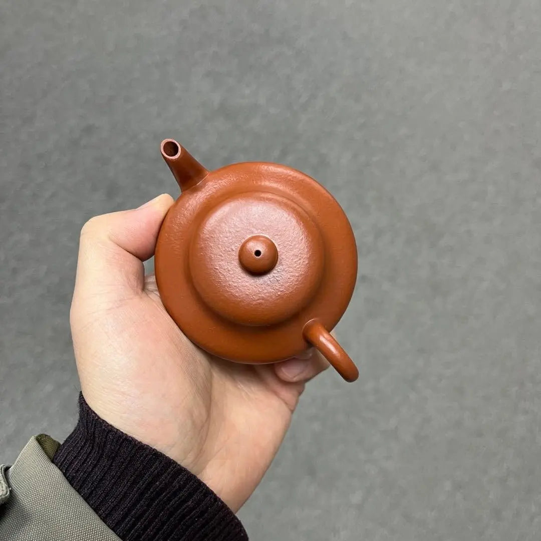 Xu Bian 110cc - Yixing Handmade Teapot zycschina