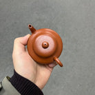Xu Bian 110cc - Yixing Handmade Teapot zycschina