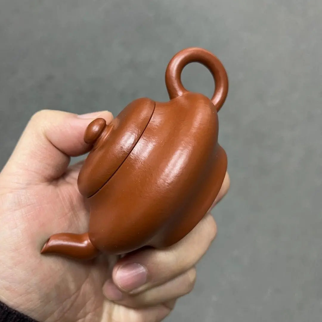 Xu Bian 110cc - Yixing Handmade Teapot zycschina