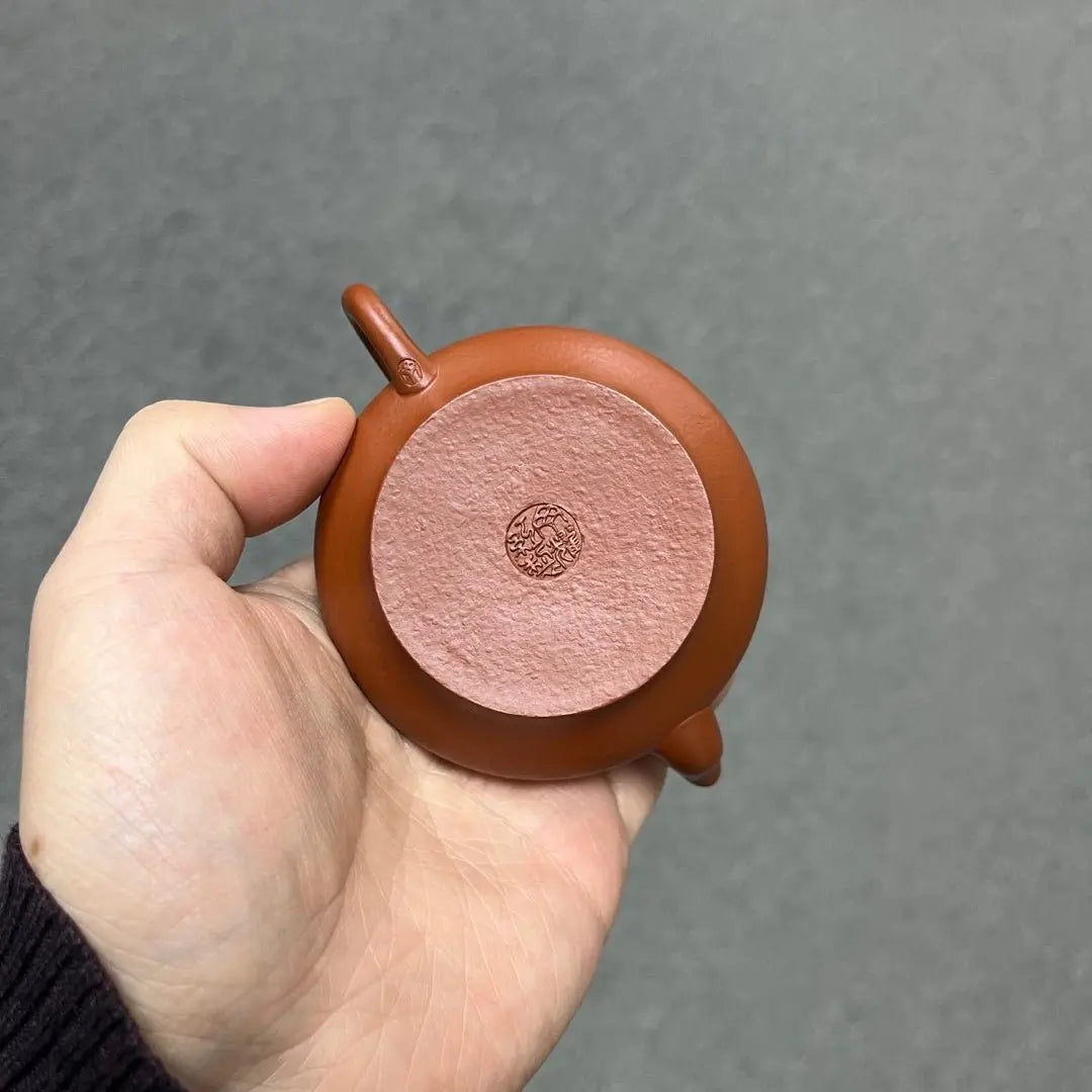 Xu Bian 110cc - Yixing Handmade Teapot zycschina