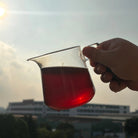 Xue Yin Xin Zhu Shu Pu'er Tea - Fine Tea 【BC】 zycschina