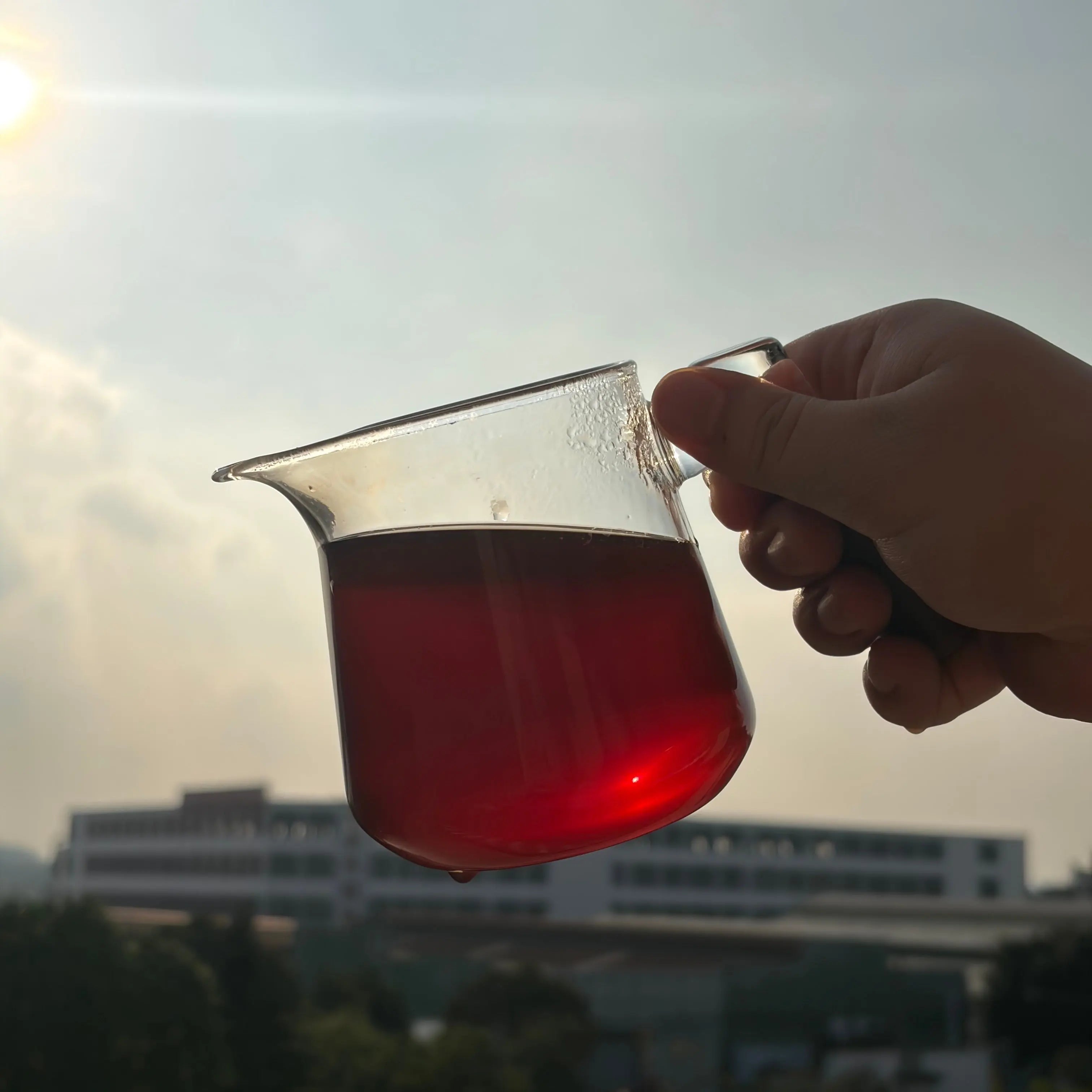 Xue Yin Xin Zhu Shu Pu'er Tea - Fine Tea 【BC】 zycschina