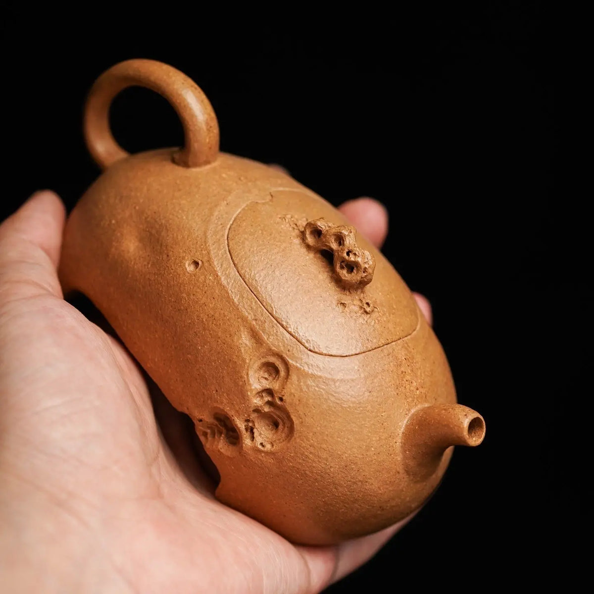 Ya Shi 130cc - Yixing Handmade Teapot 江苏宜兴